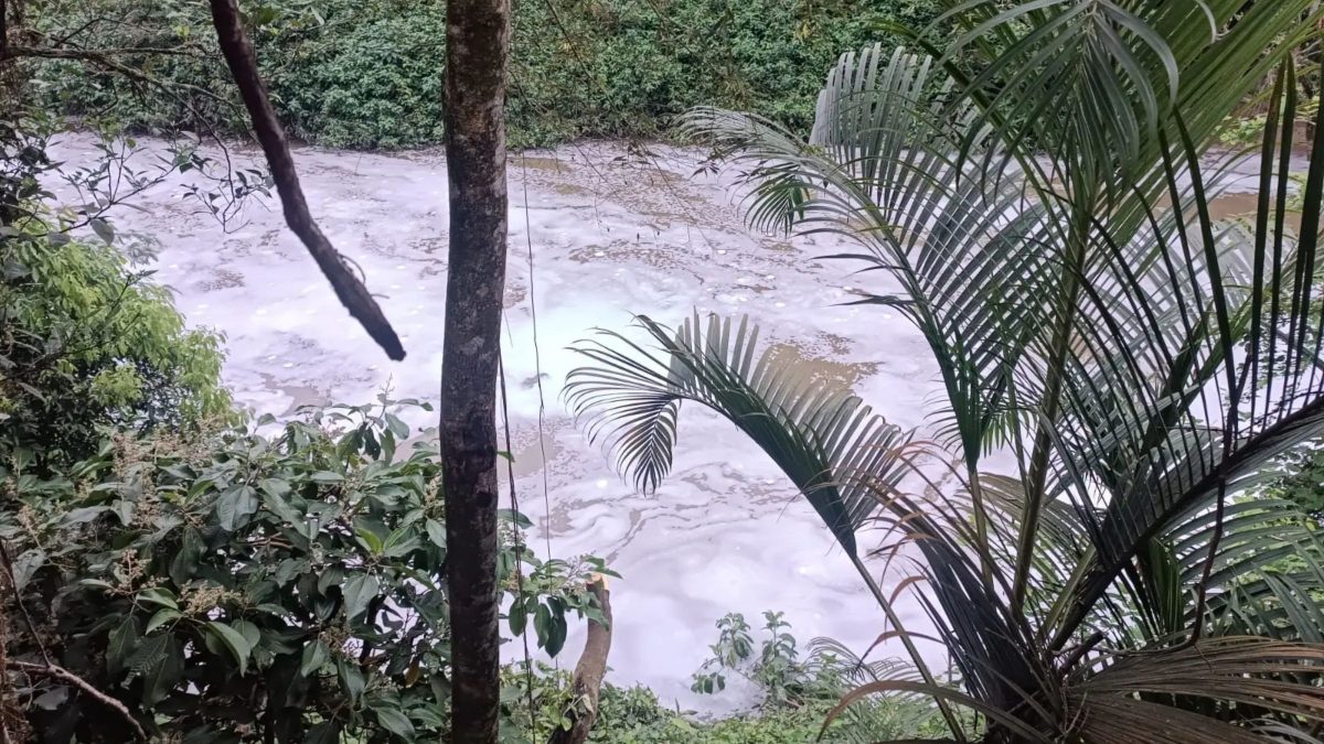 Espuma misteriosa aparece em rio de SC e acende alerta para contaminação