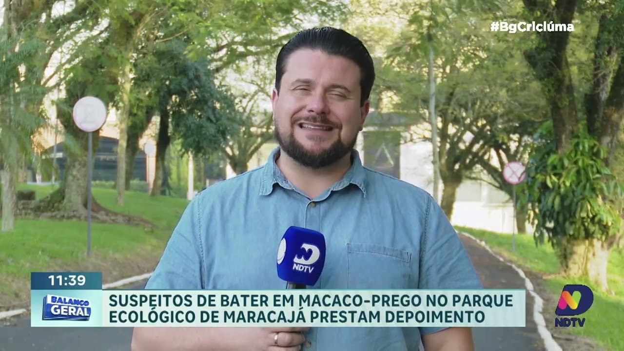 Suspeitos de agredir macaco-prego prestam depoimento à polícia