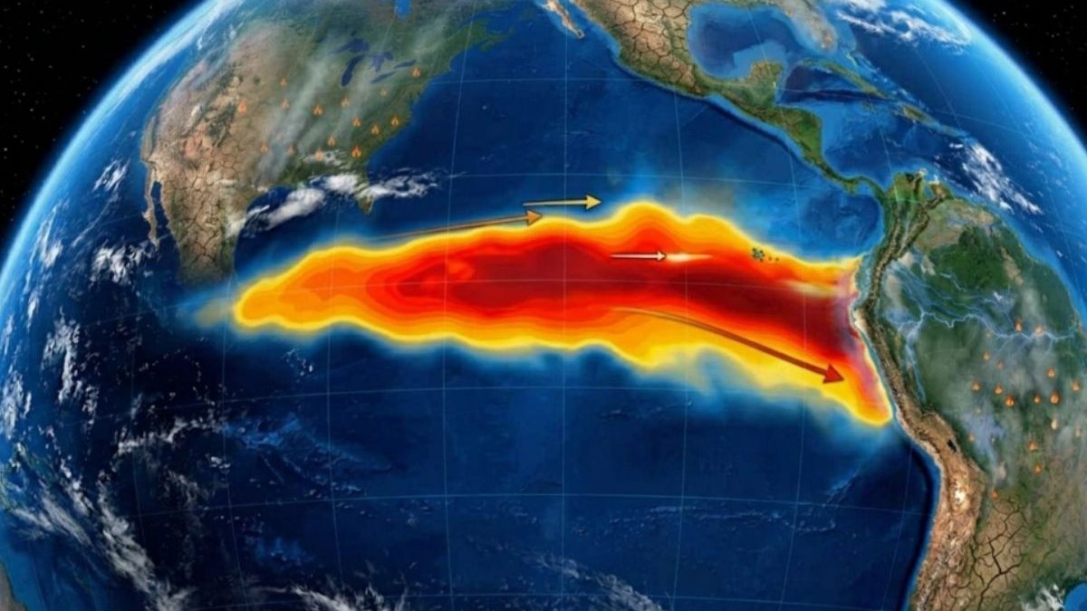 Efeitos do super El Niño serão sentidos após o pico e impactos catastróficos podem chegar a 2027, dizem especialistas