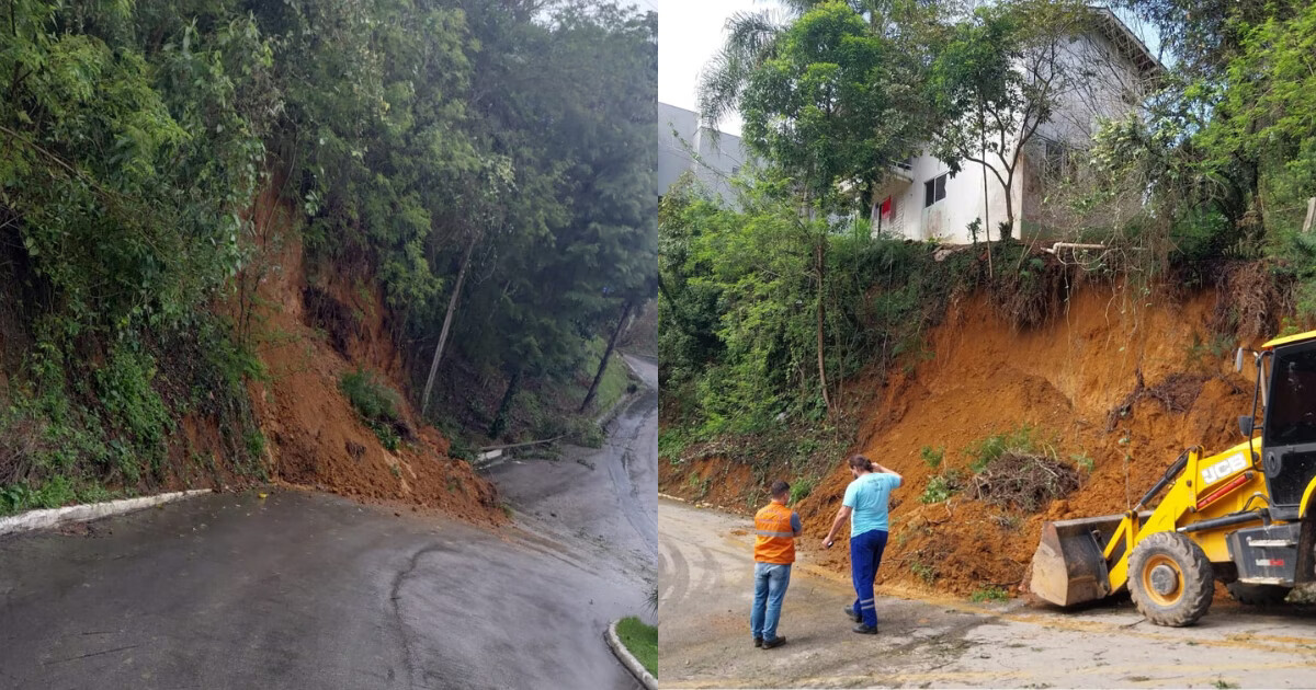 VÍDEO - Queda de árvore e deslizamento afeta moradores no bairro Azambuja, em Brusque