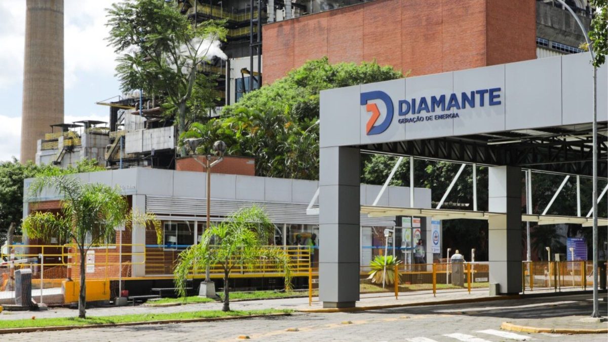 Carvão de coco? Gigante da energia térmica em SC financia estudo inovador de R$ 2,7 milhões sobre produção de biocarvão a partir da casca de coco verde