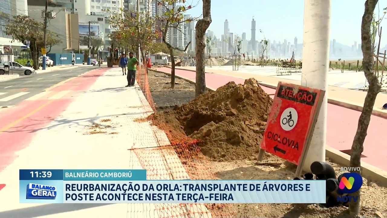 Reurbanização da orla de BC começa com transplante de árvores