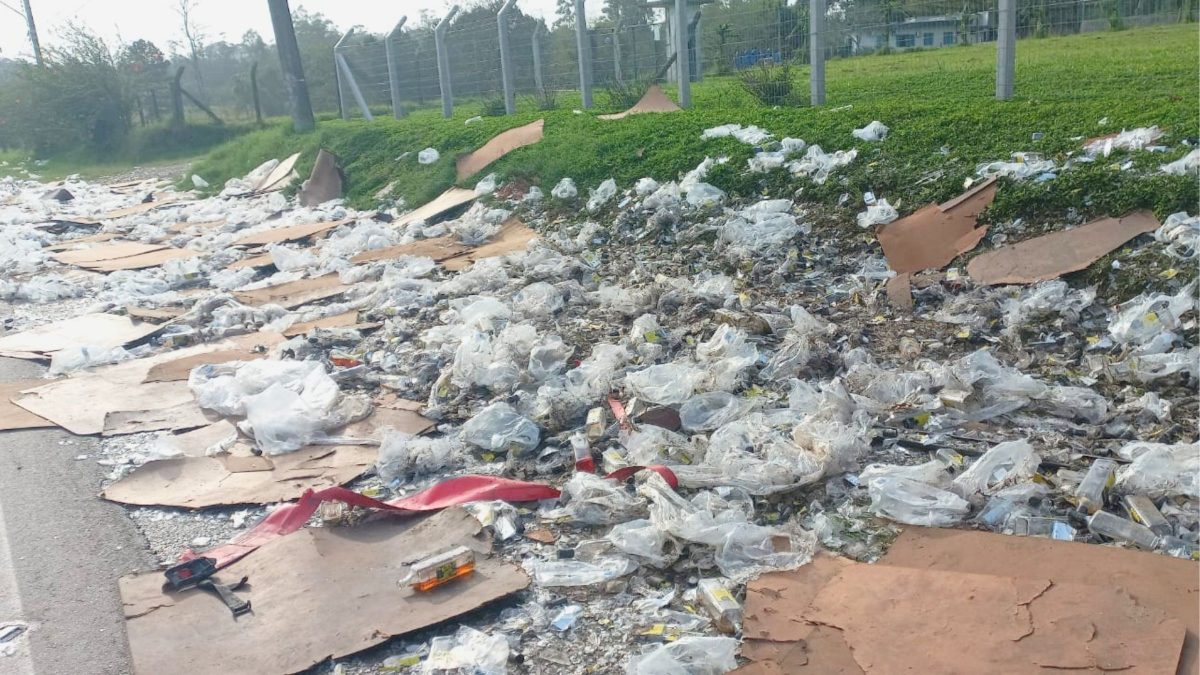 Carga de whisky cai de carreta e cerca de 1,8 mil garrafas são furtadas em rodovia de SC