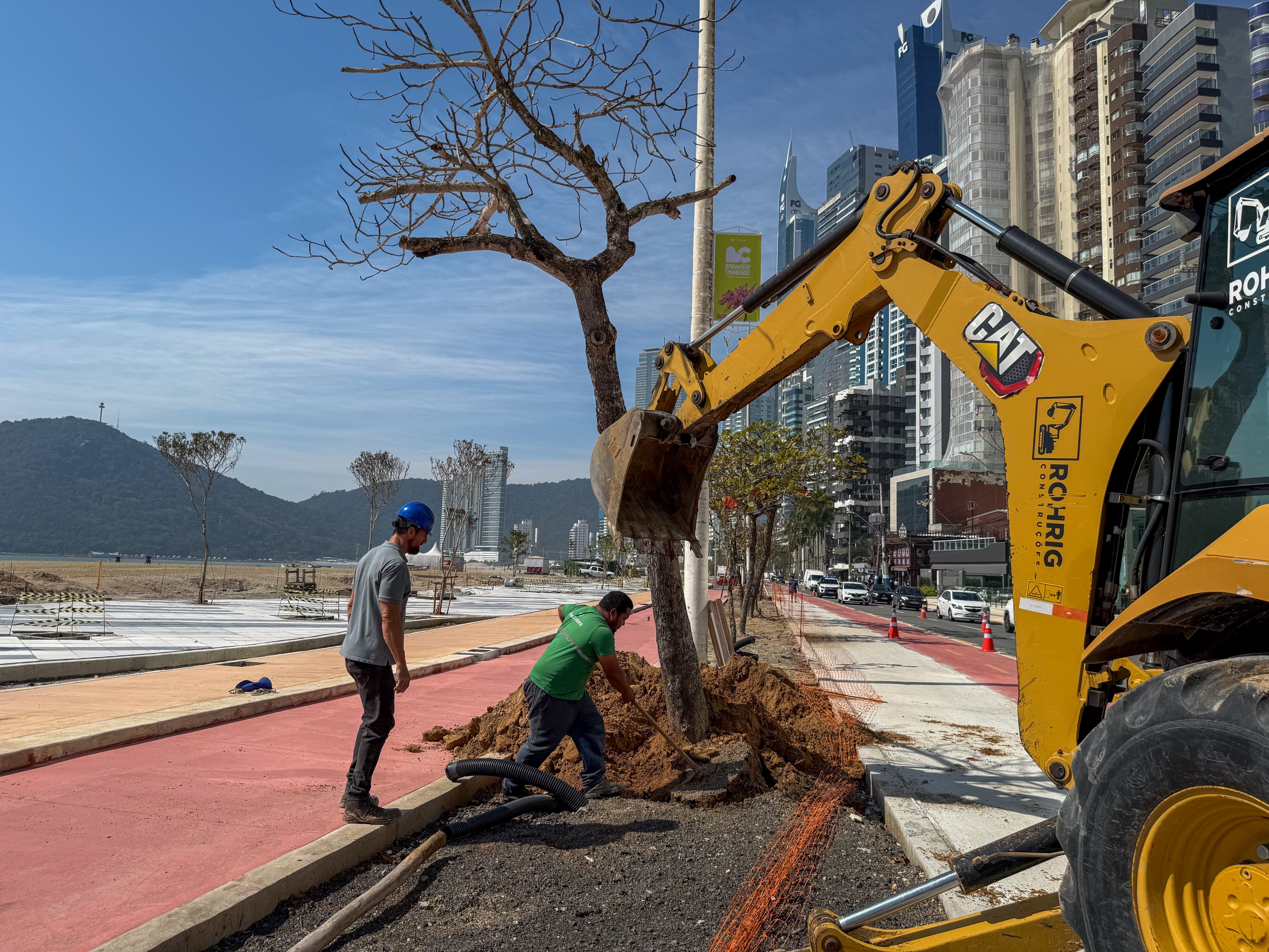 Transplante de árvores é iniciado na obra de reurbanização da orla de BC