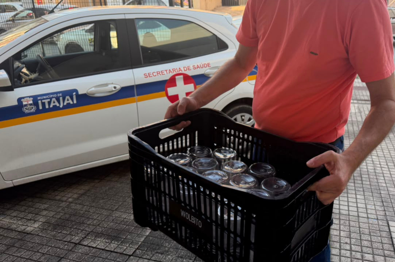 Método Wolbachia avança na prevenção da dengue em Itajaí