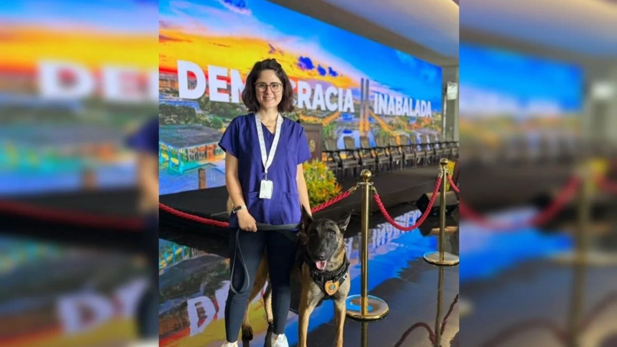 Médica veterinária atacada por cão no Senado é internada em estado grave após parada cardiorrespiratória