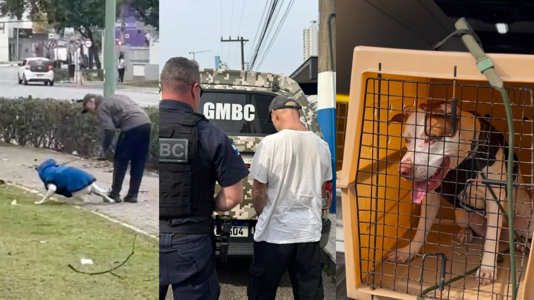 Homem foi preso após ser flagrado agredindo cachorro em Balneário Camboriú