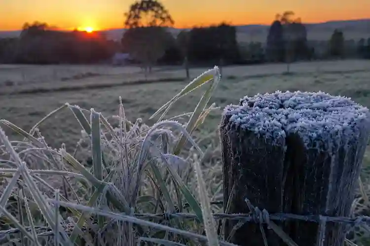 Prepare os casacos: frio de 0 °C e geada devem marcar o fim de semana em SC