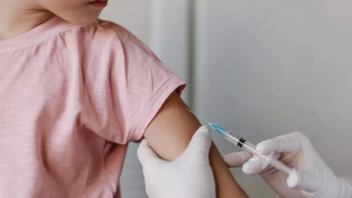 Dia D de Multivacinação oferece imunizantes contra 20 doenças em Santa Catarina neste sábado