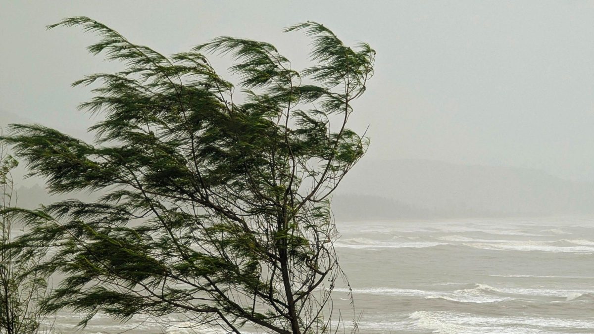Alertas de vendaval com ventos intensos de até 100 km/h trazem risco de danos a duas regiões do Brasil nesta sexta-feira (21)