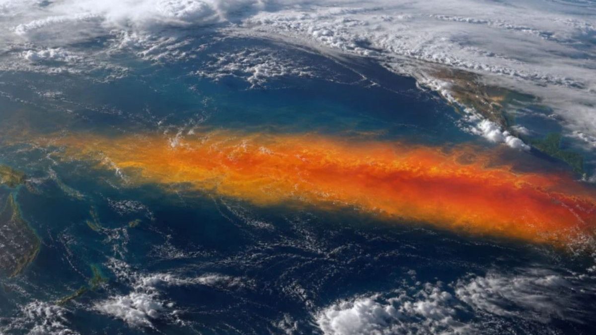 Temperatura do super El Niño bate recorde há 80 dias consecutivos; NOAA prevê que anomalia pode chegar a 3,5°C