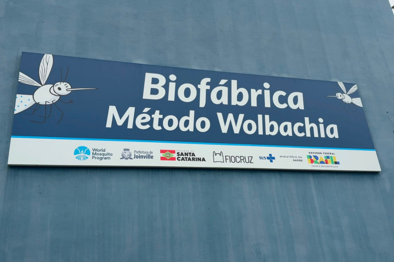 DVE vai a Joinville conferir biofábrica do método Wolbachia para construir unidade em Itajaí