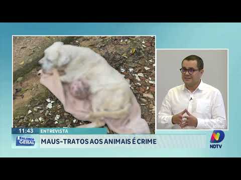 Entrevista: maus tratos a animais é crime.