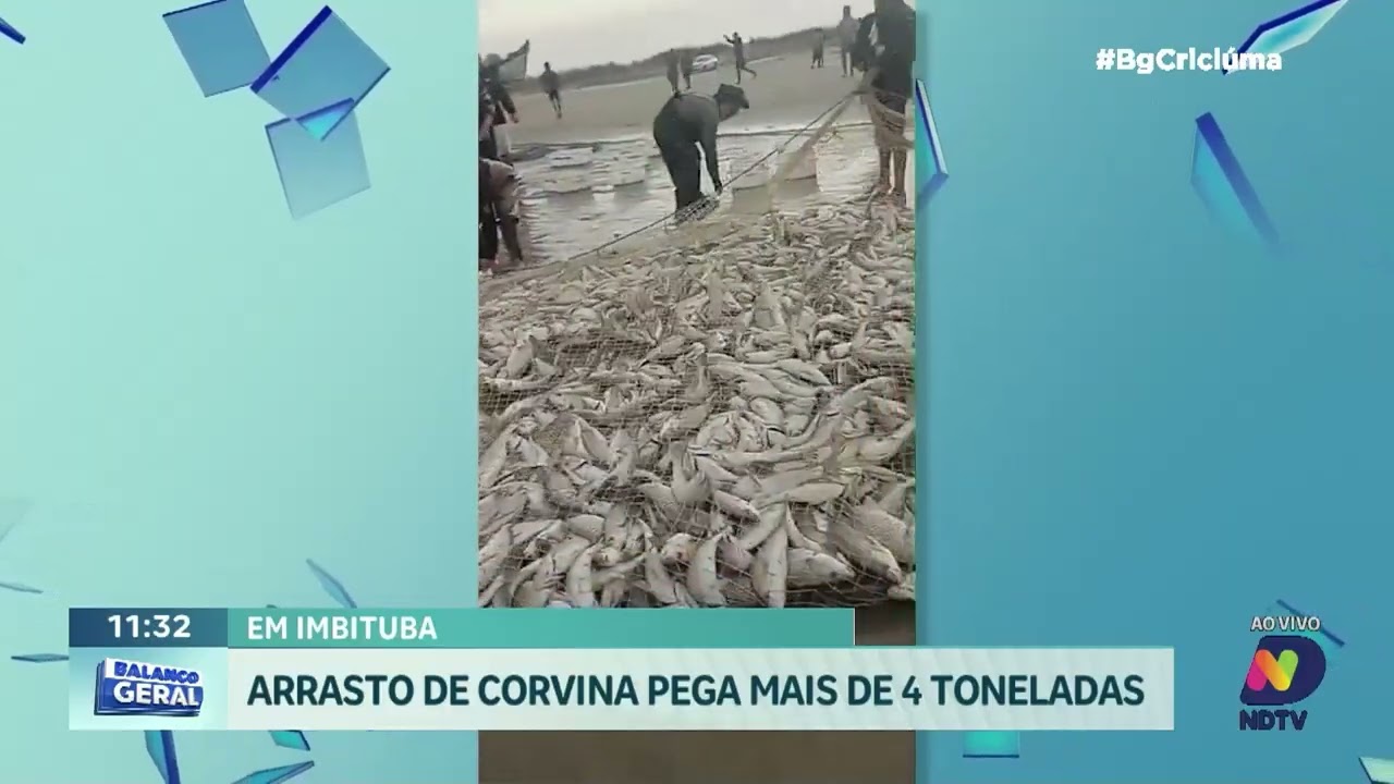 Pesca da corvina em Itapirubá garante mais de 4 mil quilos em SC