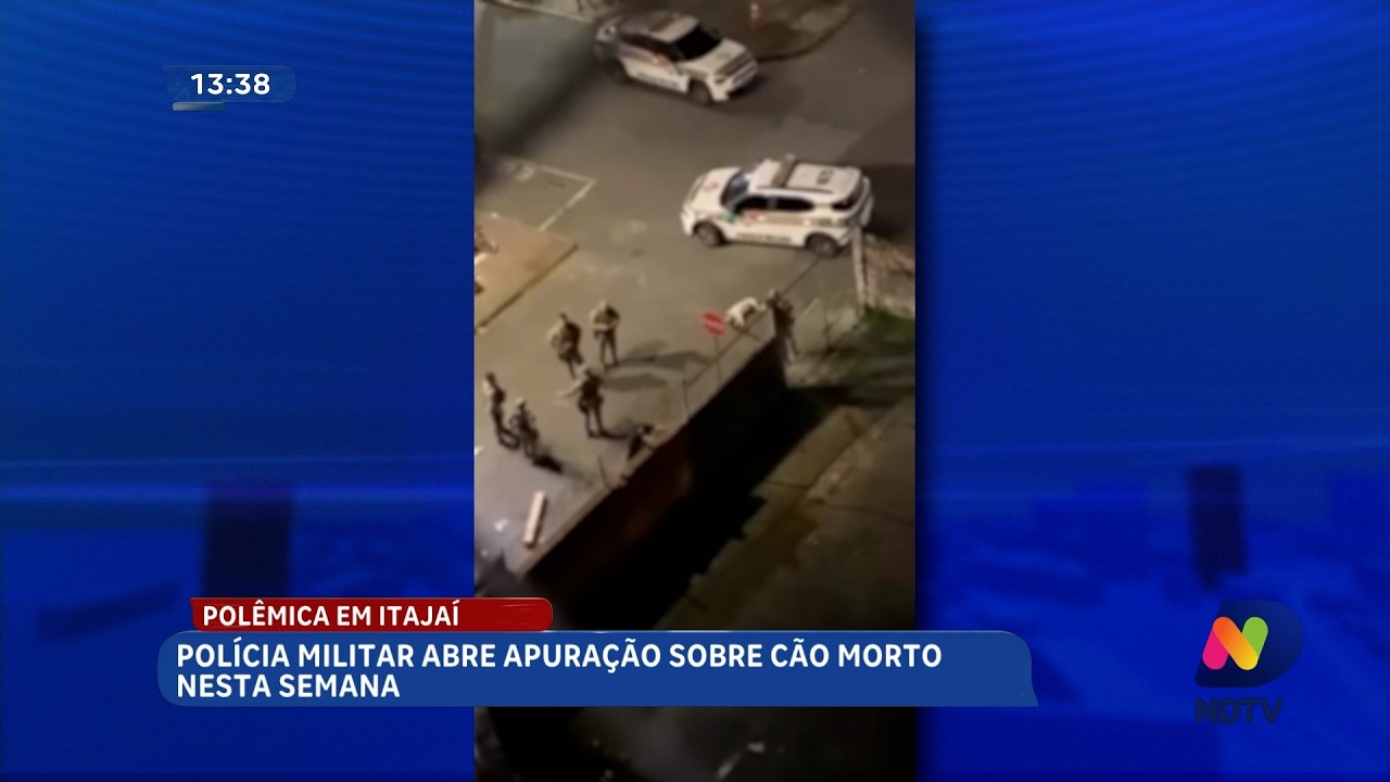 PM abre apuração sobre morte de cão durante ocorrência em Itajaí