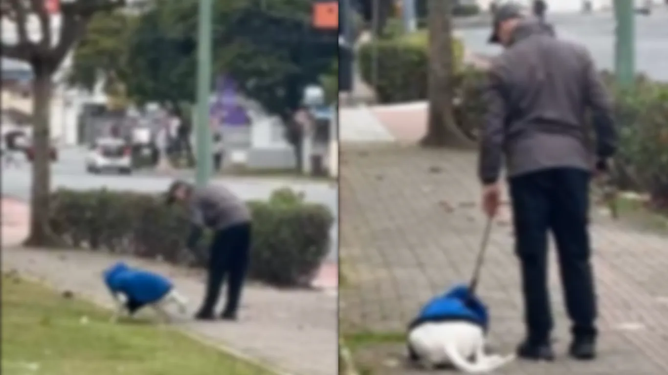 Homem é preso por agredir cachorro em Balneário Camboriú após vídeo | G1