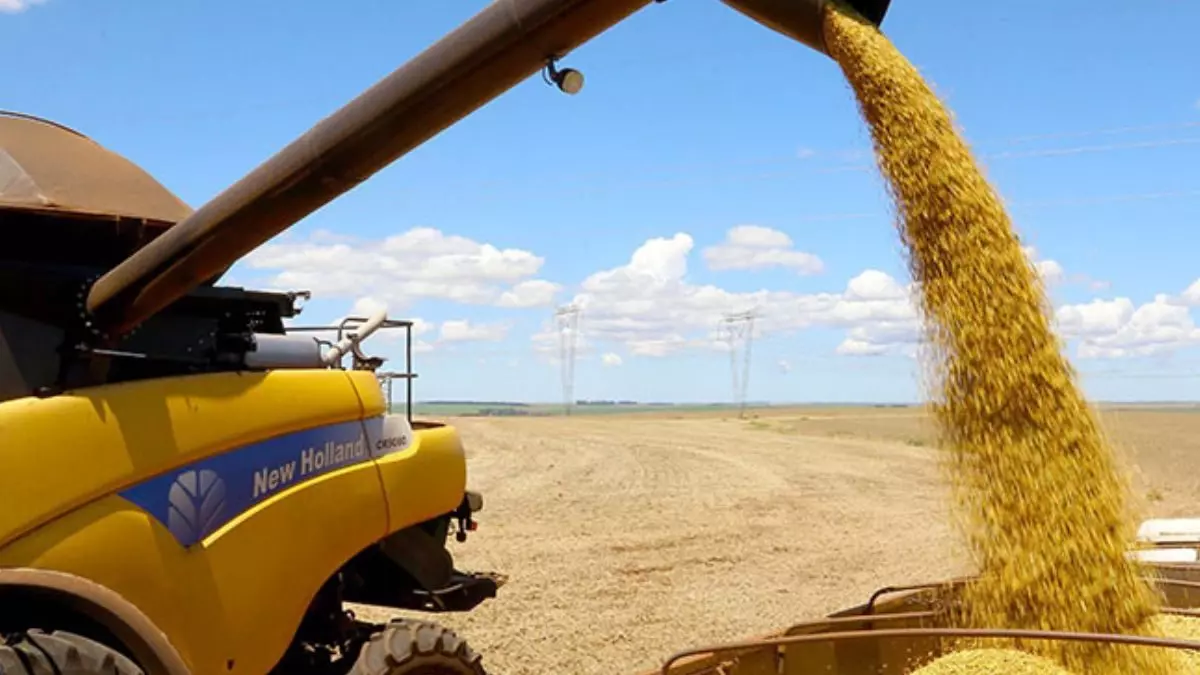 Governo maquia números do Plano Safra com R$ 38,5 bi de fora do crédito rural