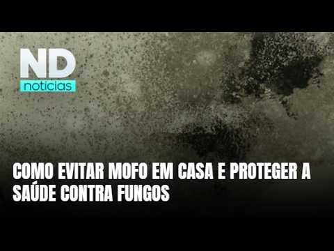 Mofo em casa: veja como evitar umidade, manchas e mau cheiro