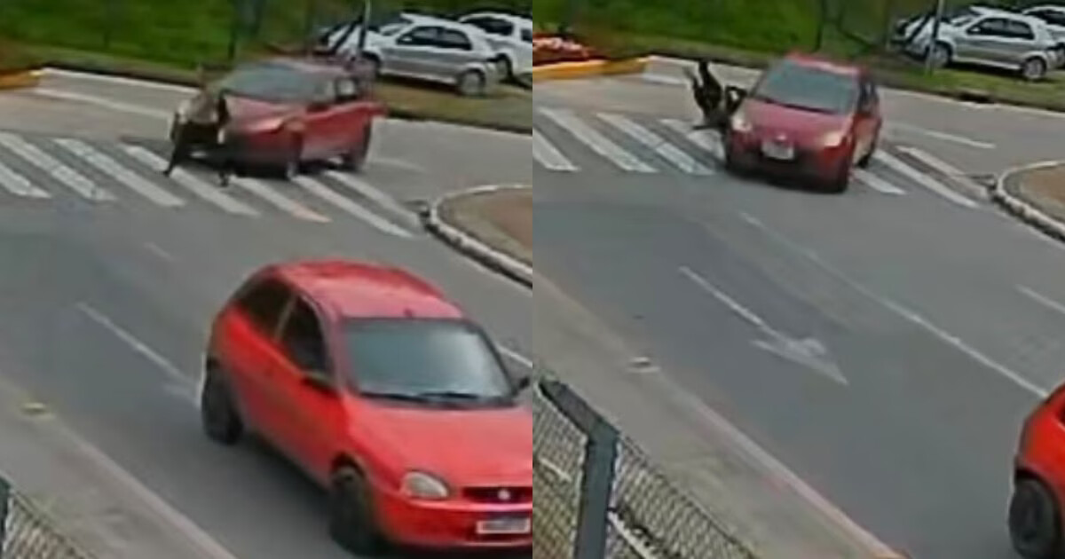 VÍDEO - Câmera mostra jovem sendo atropelada na faixa de pedestres em Guabiruba