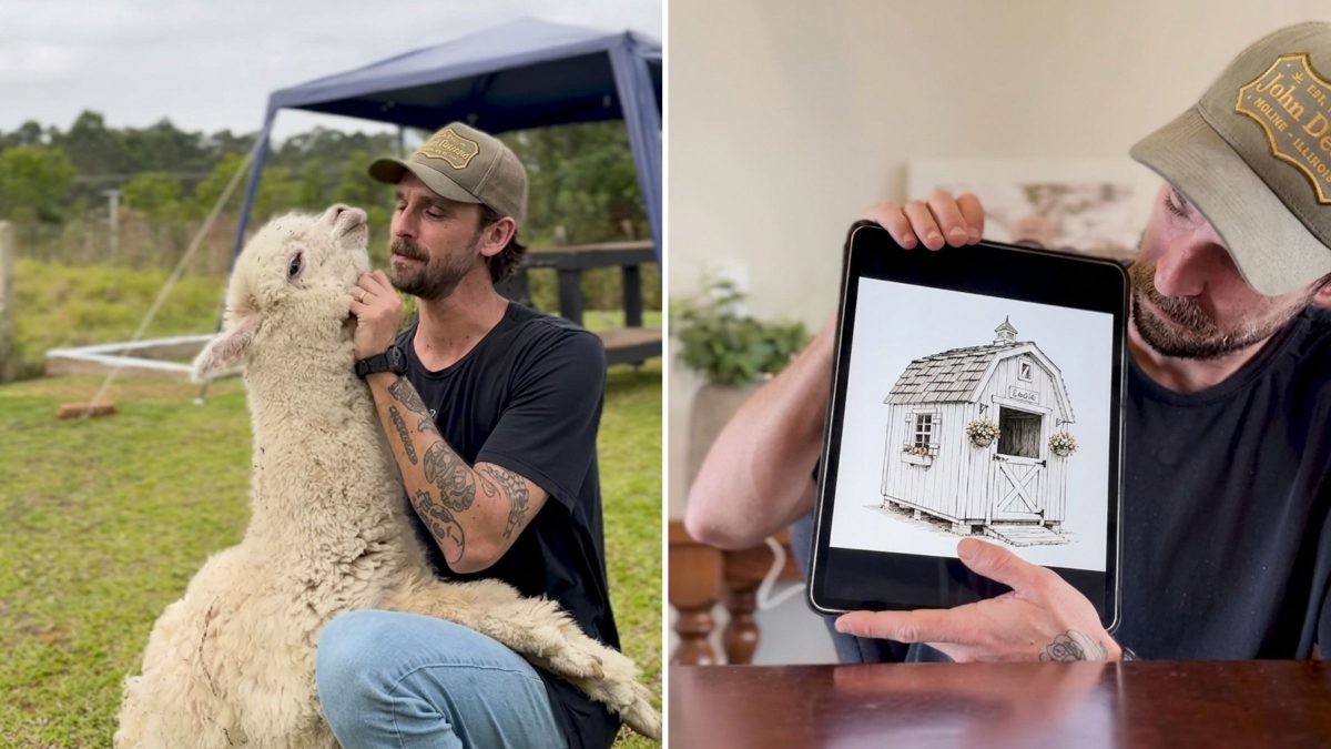Alpaca Carol ganha casa própria inspirada no estilo holandês de tutor em SC: ‘Meio antipática, mas merece’