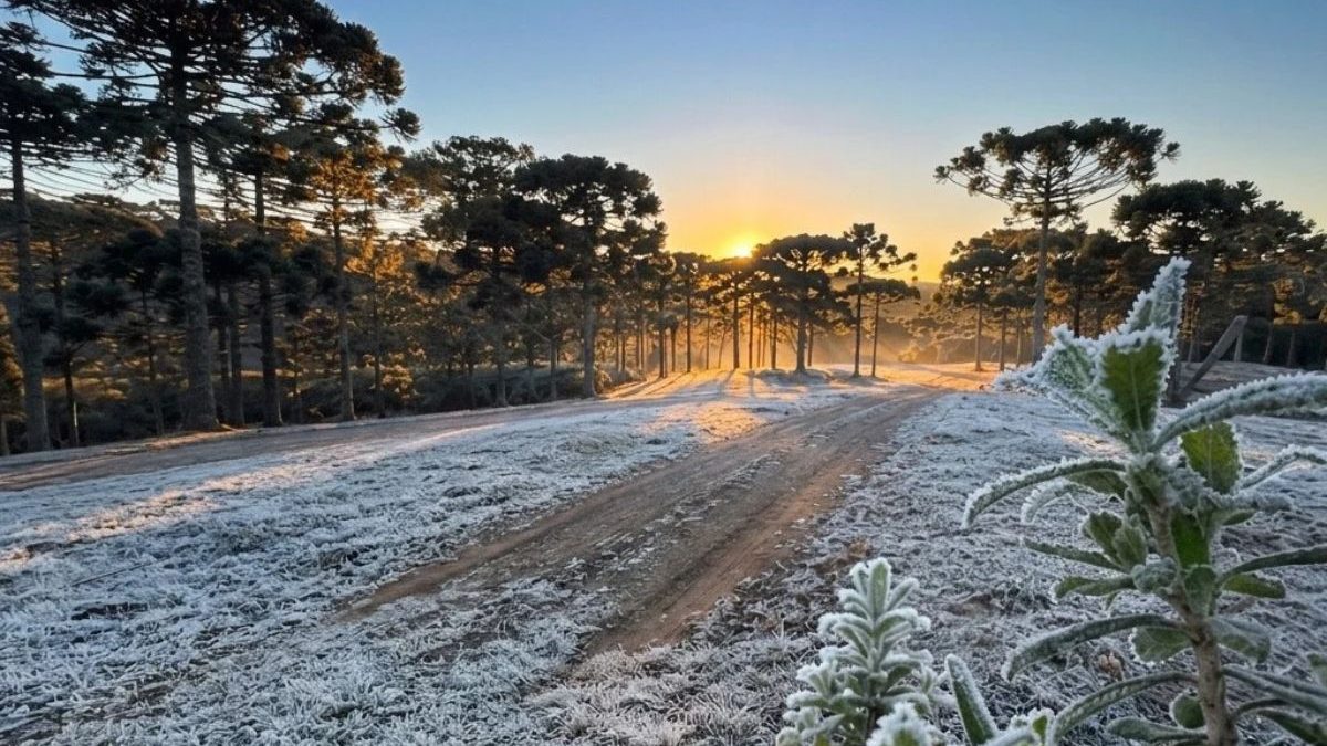 Frio intenso com mínimas de até -7,7°C e geada ‘congelam’ carros, cobrem campos e transformam paisagens em cidades de SC
