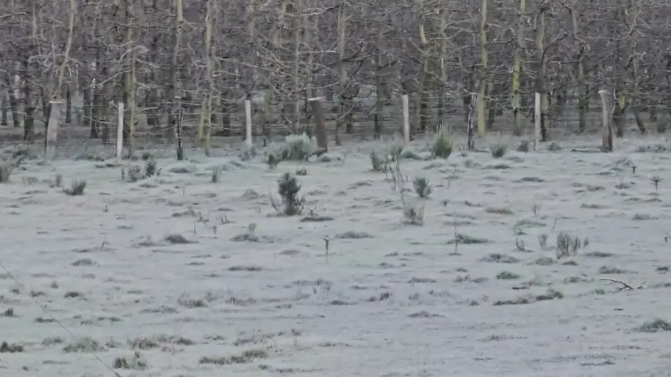 Massa de ar frio congela paisagem em SC e termômetros chegam a -7,7 °C | G1