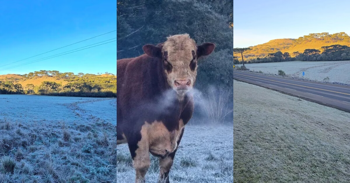 Serra de SC registra -9°C no amanhecer desta segunda-feira; veja em quais municípios fez mais frio