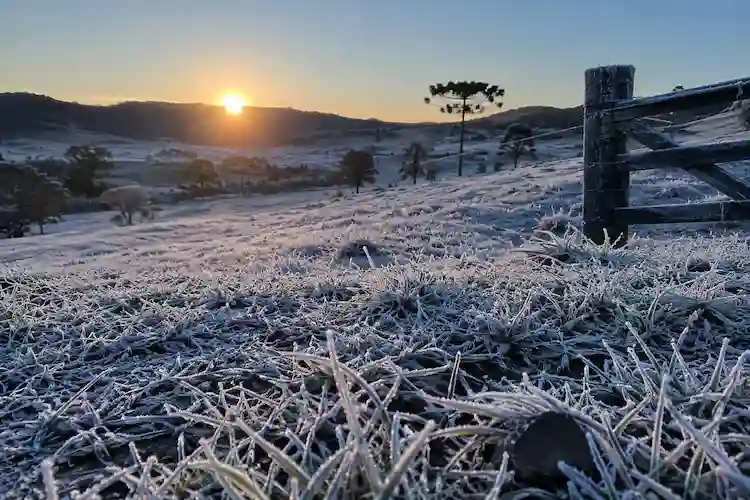 SC amanhece com -9,1°C, geada intensa e paisagens completamente brancas