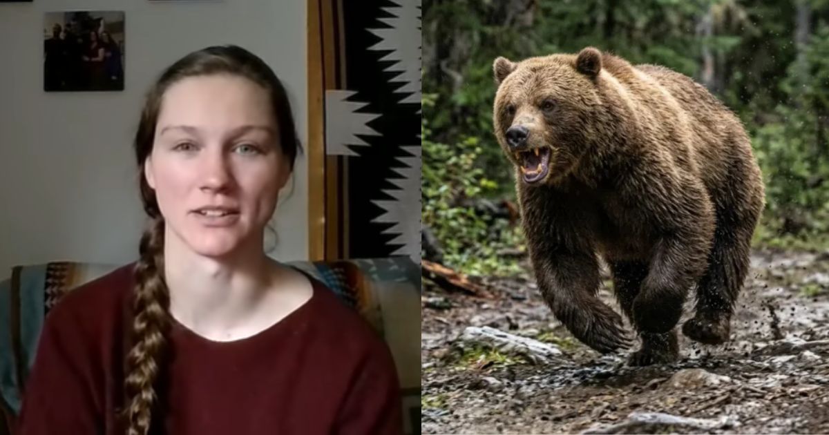 Enquanto caminhava, mulher é atacada por ursa-parda e consegue se salvar ao usar golpes de jiu-jítsu para chutar o rosto do animal após seu cão latir para distraí-la