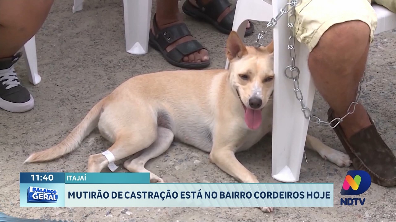 Giro regional destaca vacinação, pets e serviços aos moradores