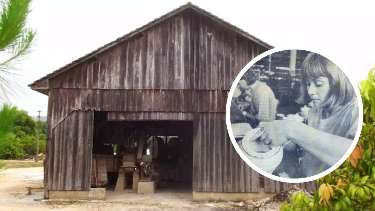 Briga de família deu origem a império da porcelana que nasceu em galpão de madeira em SC e virou o maior complexo industrial da América Latina