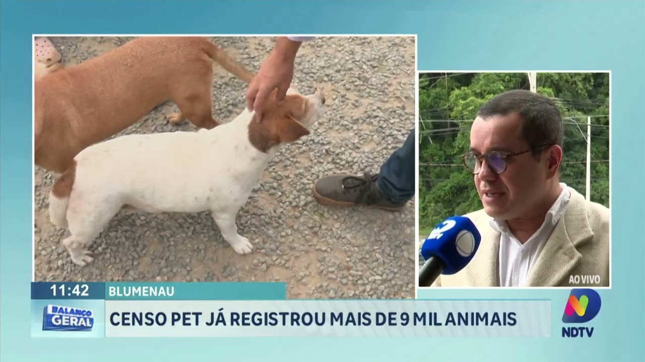 Blumenau: Censo Pet já registrou mais de 9 mil animais