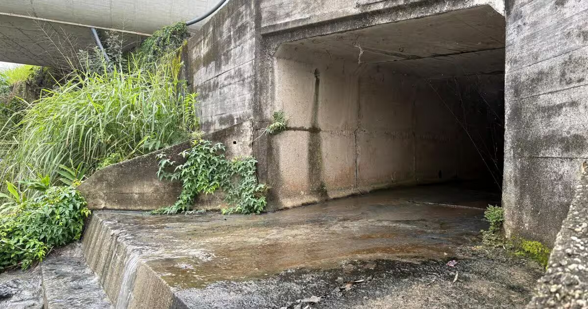 Tribunal de Contas faz 95 apontamentos de ajustes no edital de concessão do esgoto sanitário de Brusque