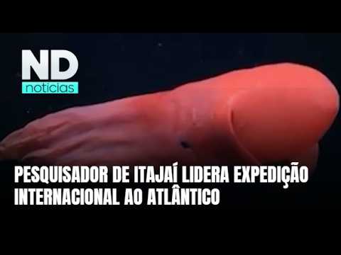 Pesquisador de Itajaí lidera expedição internacional ao Atlântico profundo