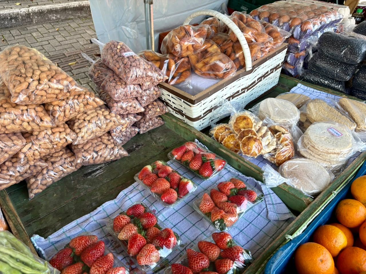 Camboriú fortalece a produção rural e incentiva a agricultura familiar
