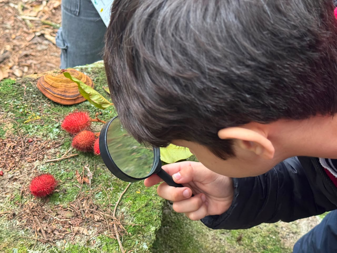 Educação ambiental leva estudantes da teoria à prática no Refúgio de Vida Silvestre de Itapema