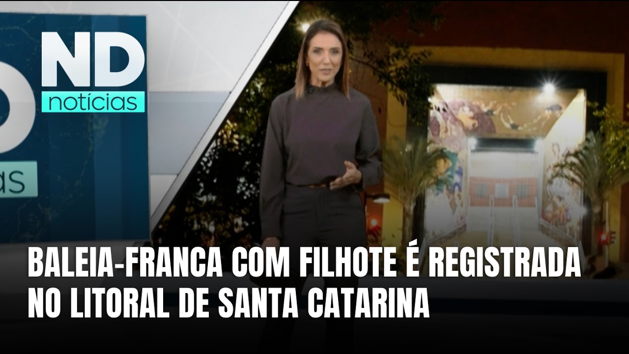 Baleias-francas chegam ao litoral de SC e são vistas em Laguna