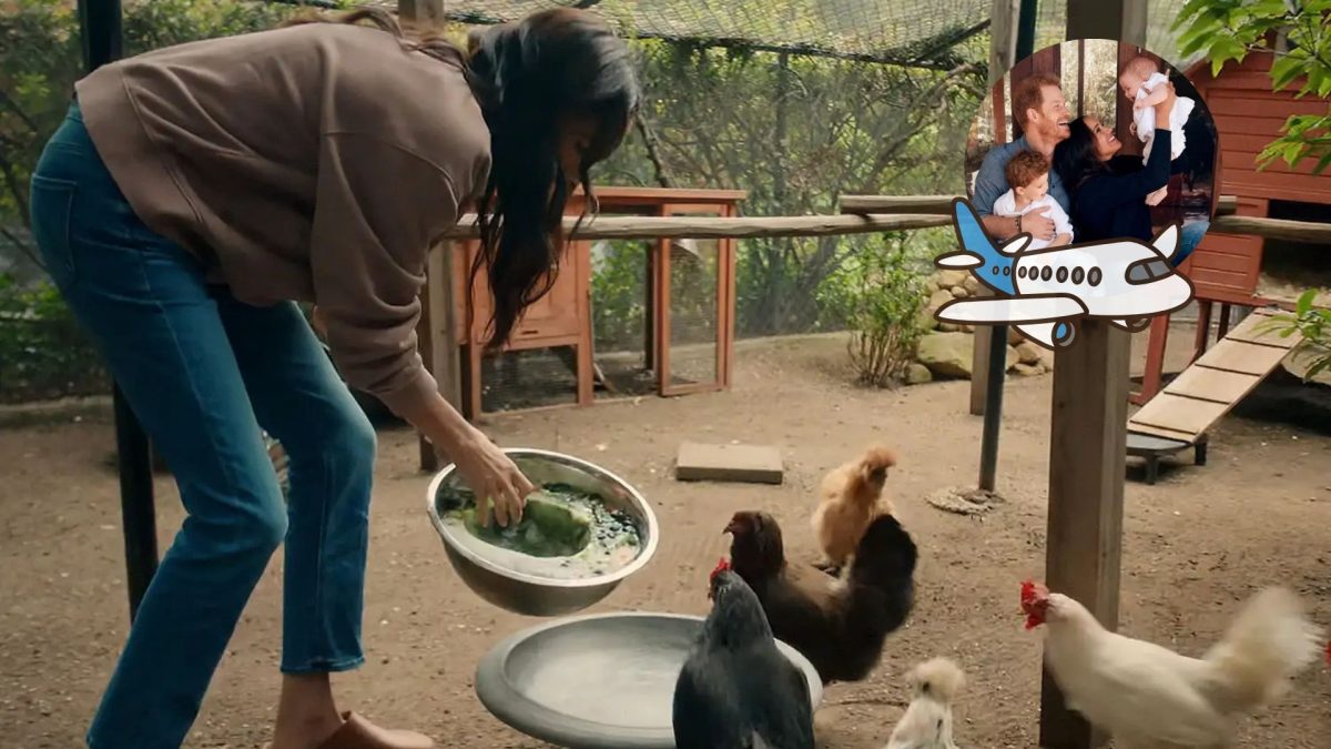 11 galinhas de Meghan Markle e Prince Harry ficam para trás após a mudança da família para o Reino Unido, mas uma decisão sobre as aves muda tudo: elas não irão junto