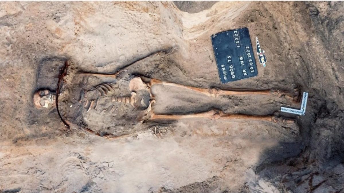 Túmulo de 400 anos revela ritual contra ‘vampiros’ com foice no pescoço de jovem de 18 anos na Polônia