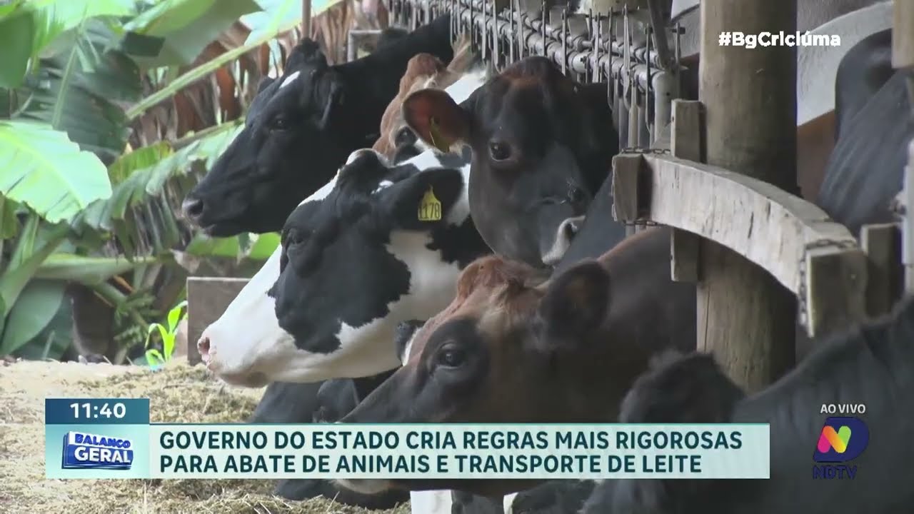 Estado cria regras mais rígidas para abate de animais e leite