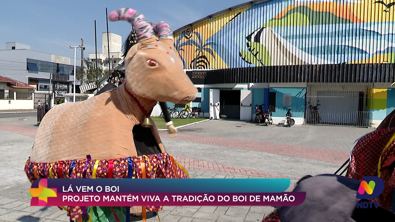 Boi de Mamão ganha força com projeto cultural em Navegantes