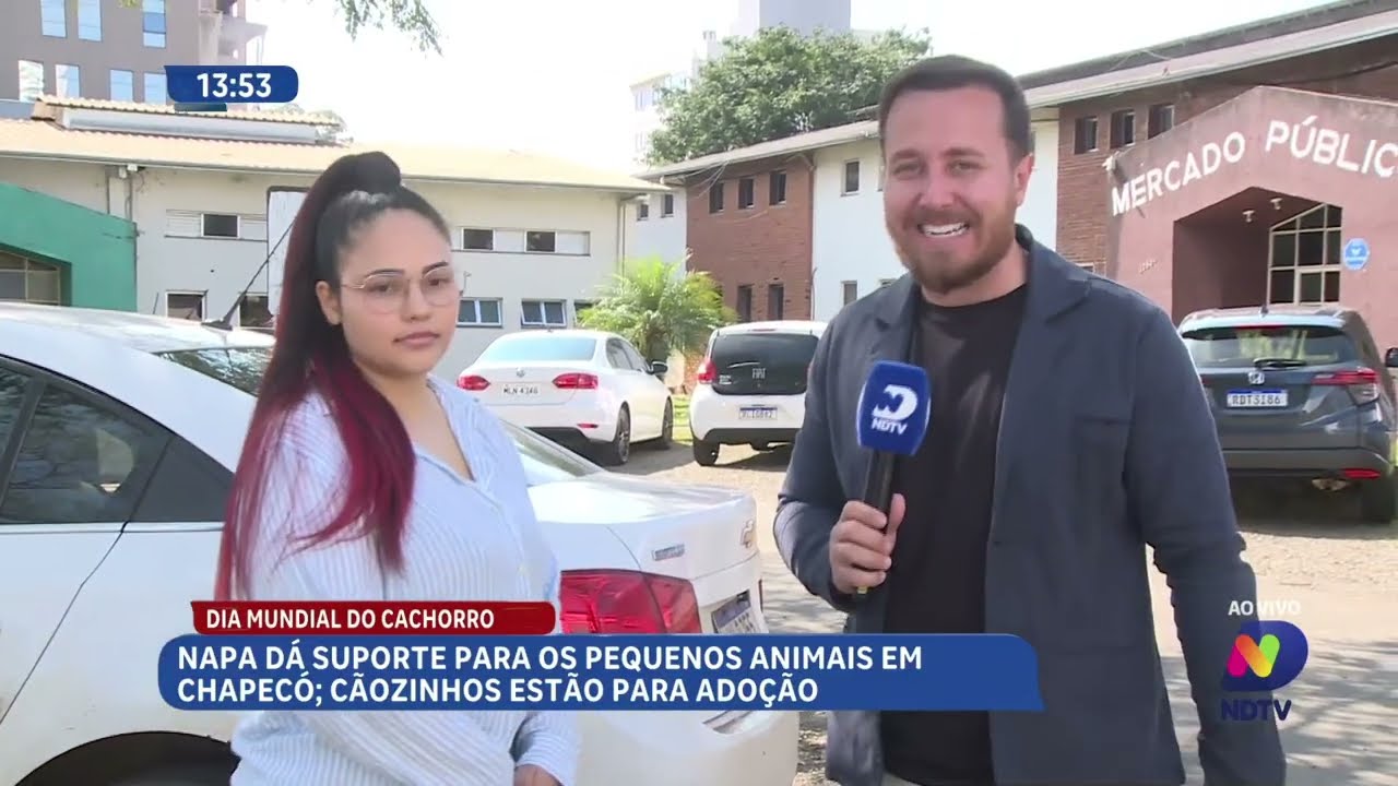 Dia Mundial do Cachorro destaca trabalho do NAPA em Chapecó