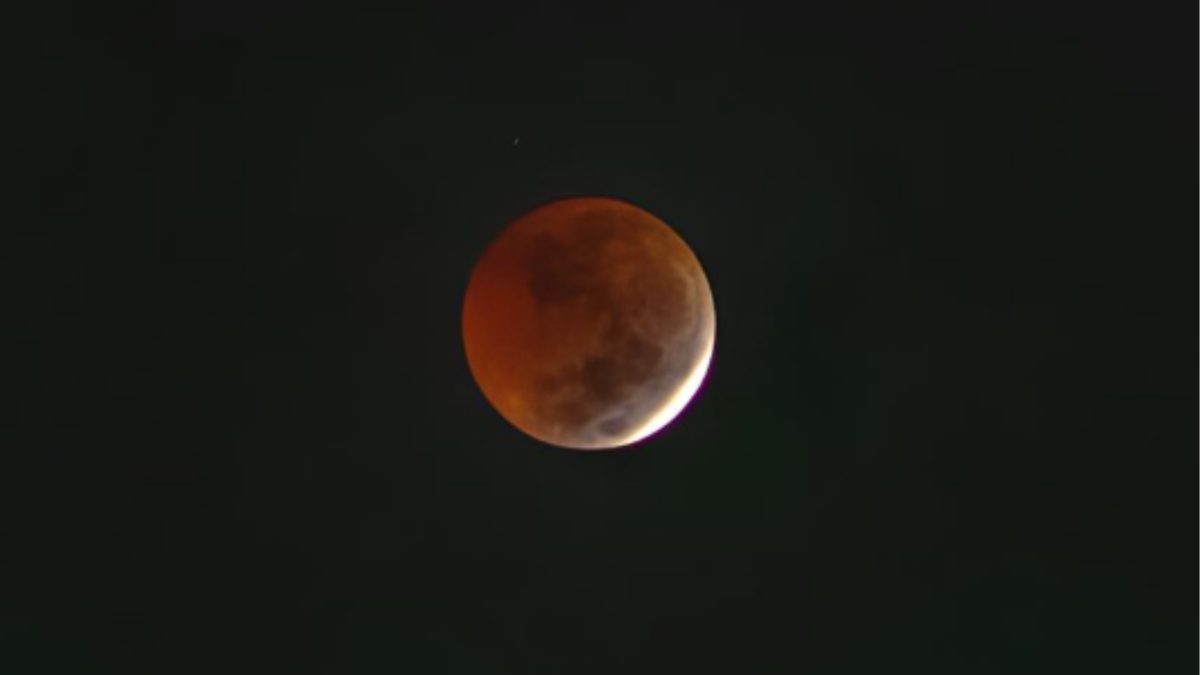 Próximo eclipse lunar parcial de agosto pode mudar o comportamento do seu cachorro ou gato; veja como a Lua influencia os pets