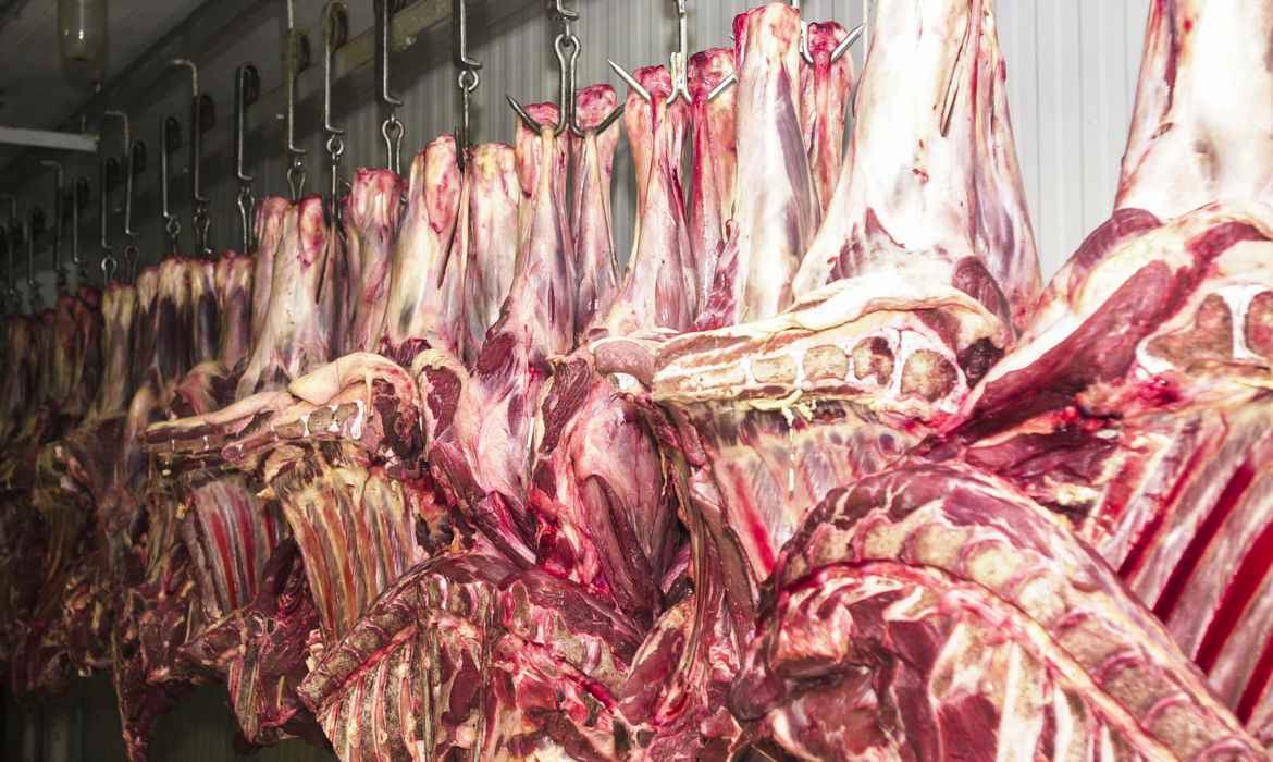 Trump fala em ‘monopólio’ da carne nos EUA após conselheiro acusar empresas brasileiras de integrar cartel