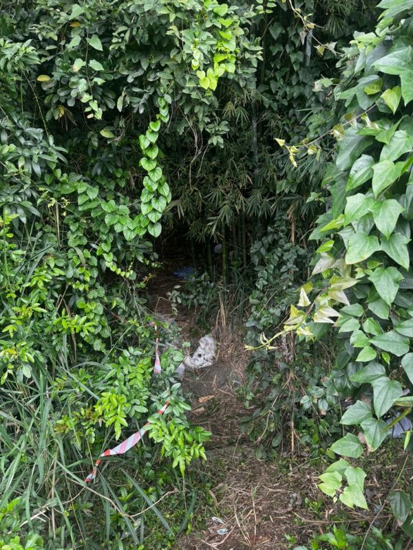 Homem é encontrado morto às margens da BR 101 em Itapema