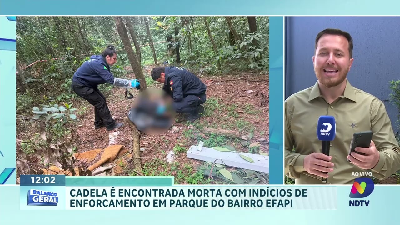 Cadela é encontrada morta com indícios de enforcamento em Chapecó