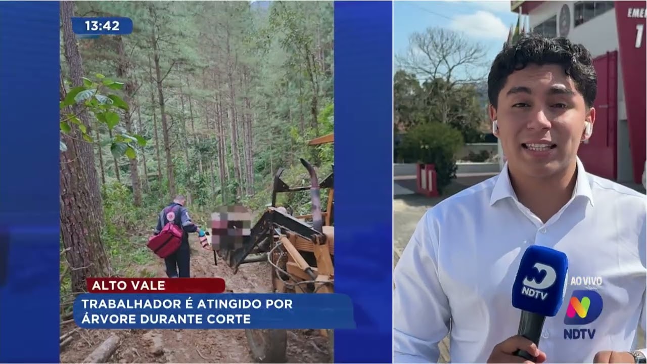 Alto Vale: trabalhador é atingido por árvore durante corte