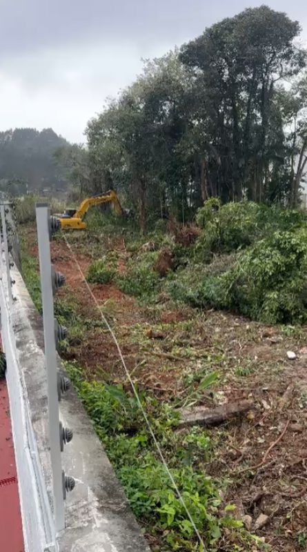 Morador denuncia corte de mata nativa perto do Balneário Shopping