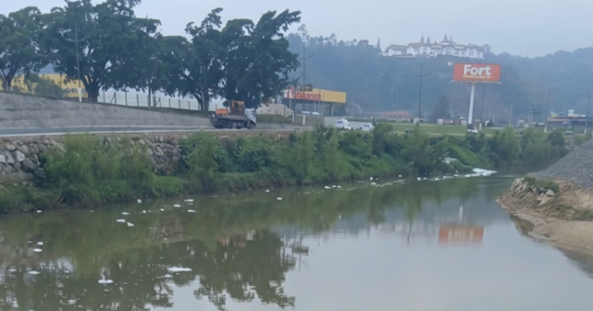 Moradora denuncia presença de espuma no rio Itajaí-Mirim, em Brusque