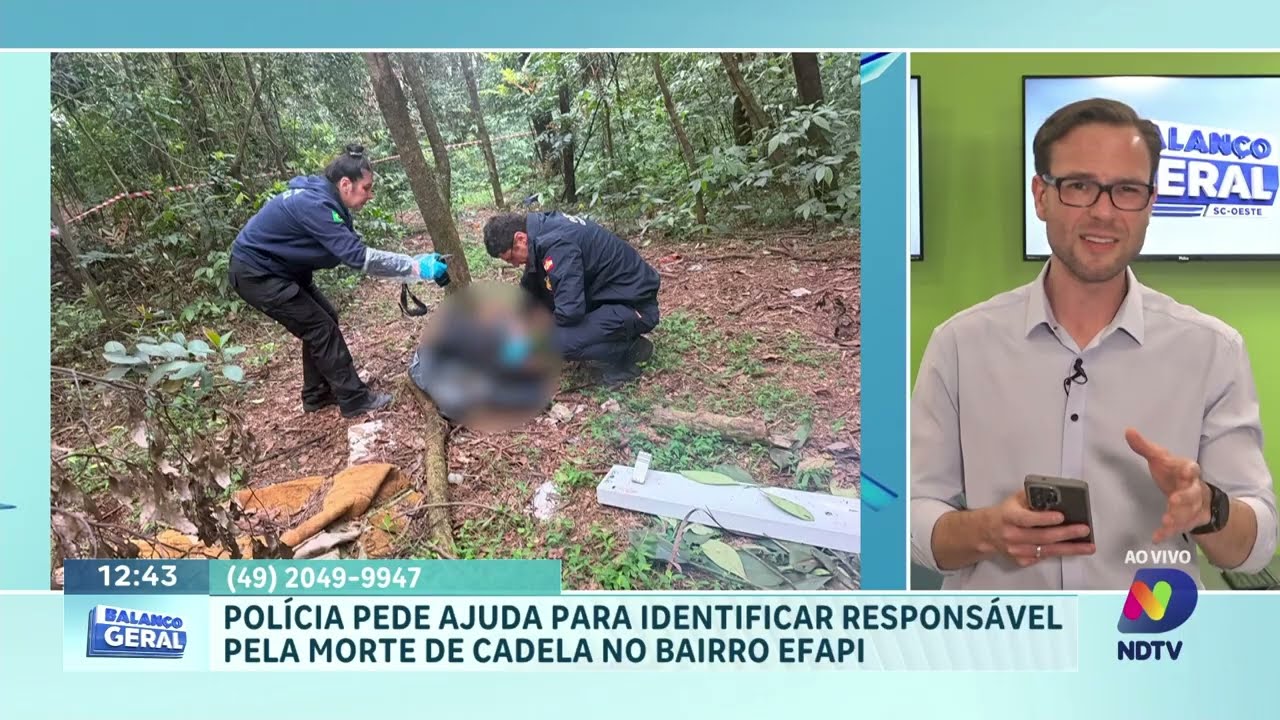 Tribunal condena réus por homicídio; polícia apura morte de cadela